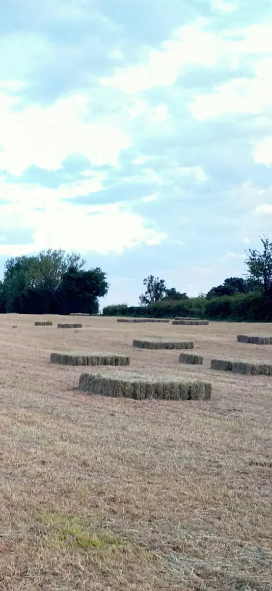 Hay bales (Square) - Image 2