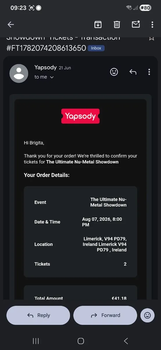 Concert ticket - Image 1