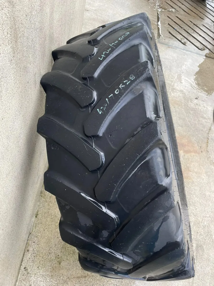 Farmax R70 420/70R28 Rear Tyre - Image 3