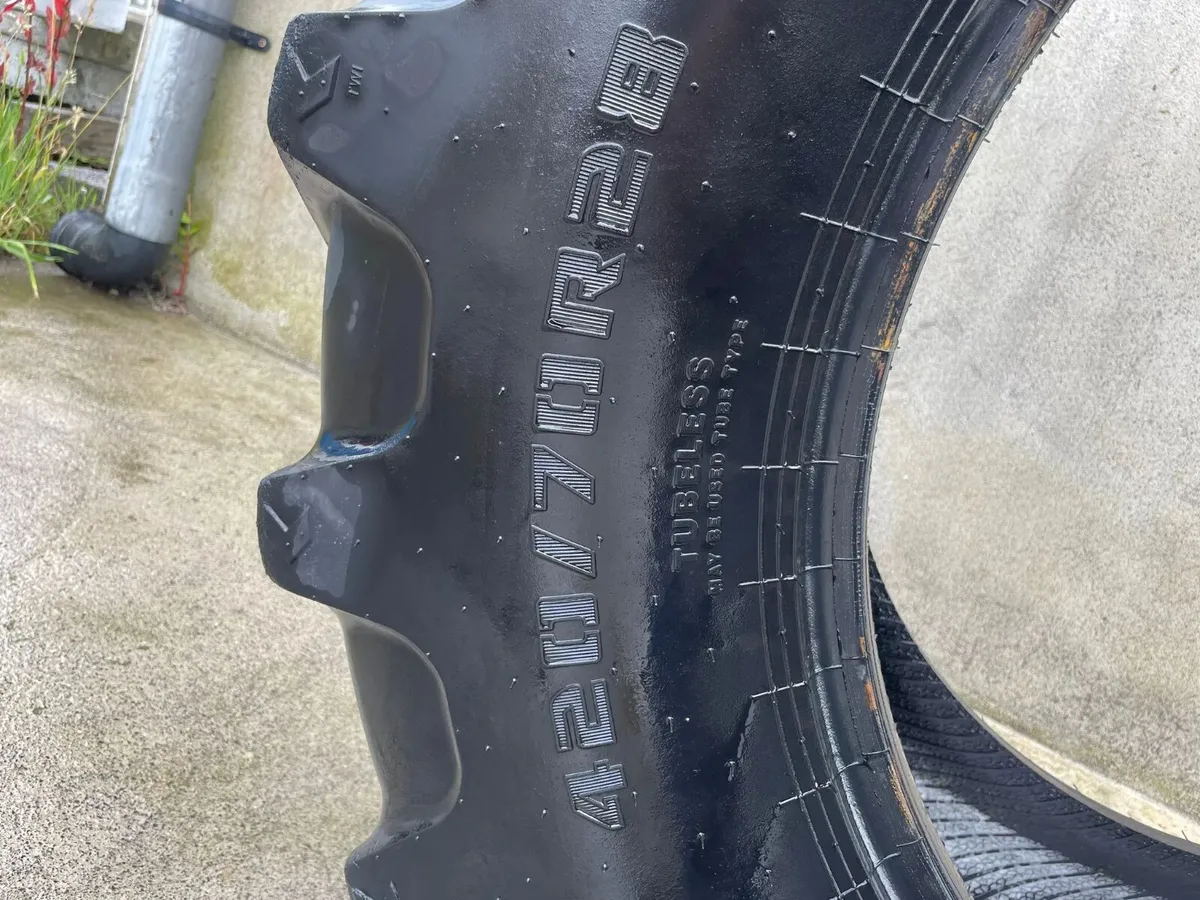 Farmax R70 420/70R28 Rear Tyre - Image 2