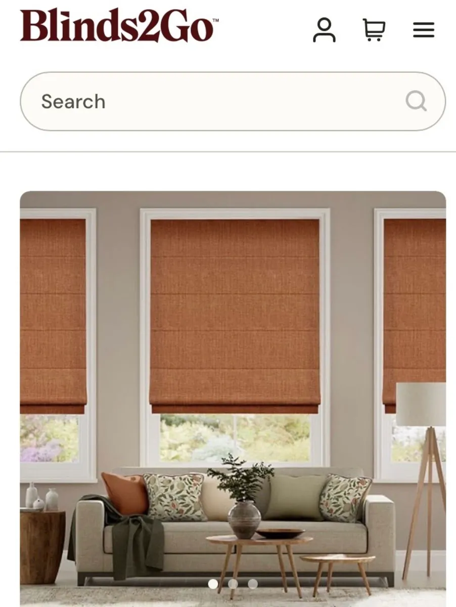 Roman blinds - Image 1