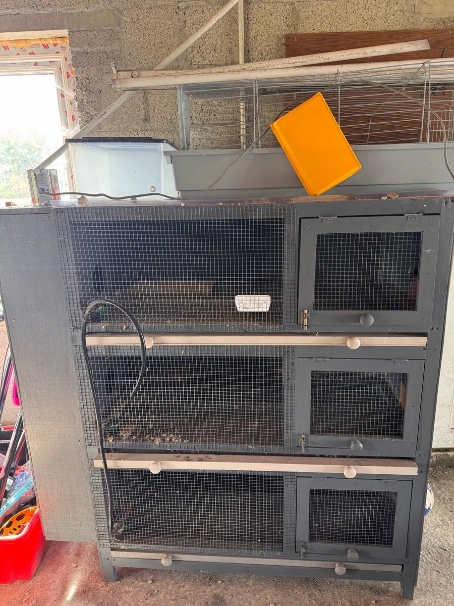 3 Tier Hen Coup or alternative rabbit hutch