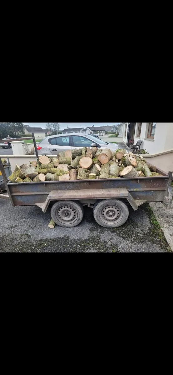 Timber