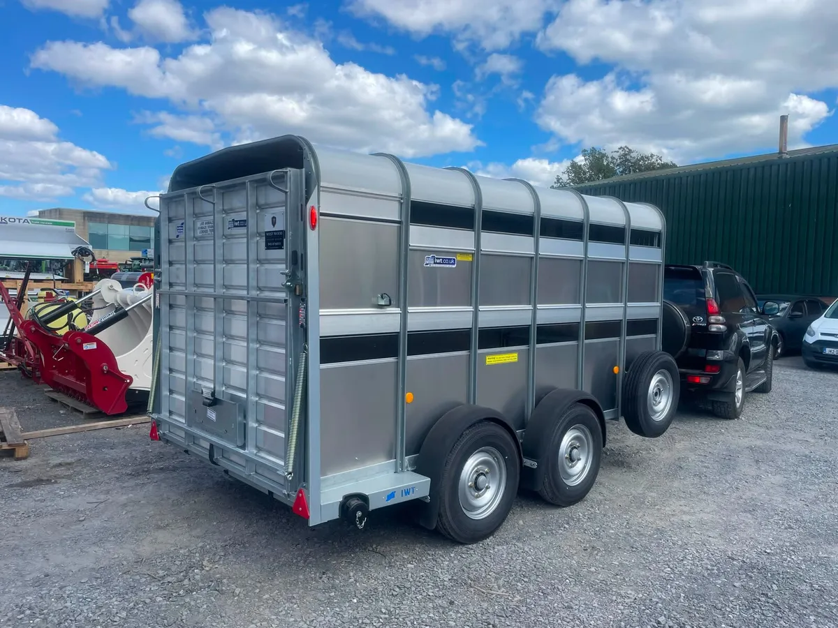 IFOR WILLIAMS Cattle/Sheep trailers - Image 4