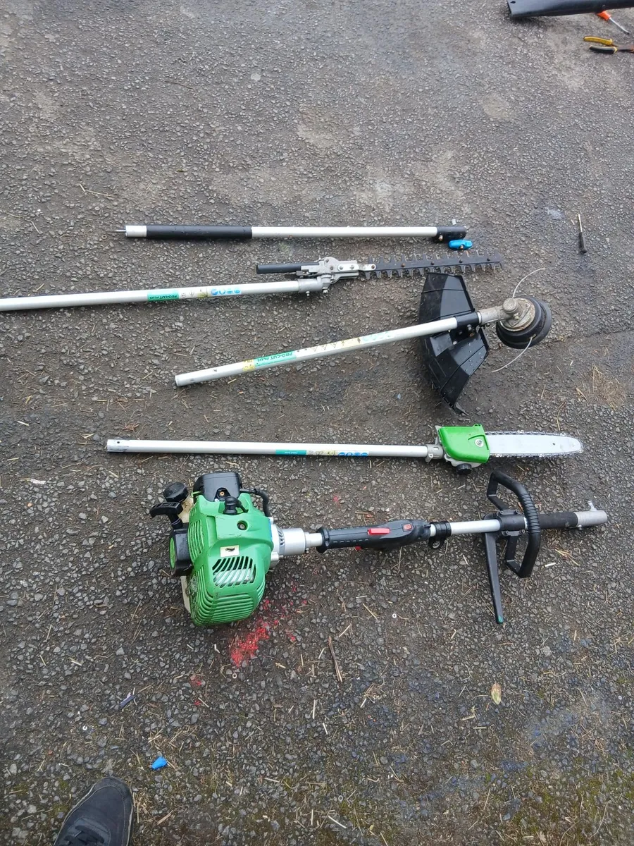 Grass strummers 4 in 1 running 100-percent - Image 1