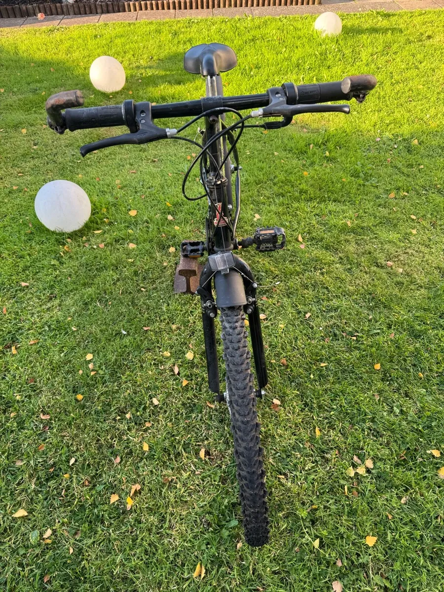 Bike - Image 3