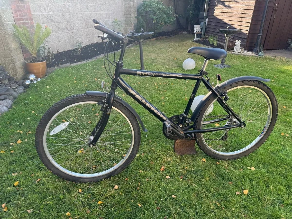 Bike - Image 1