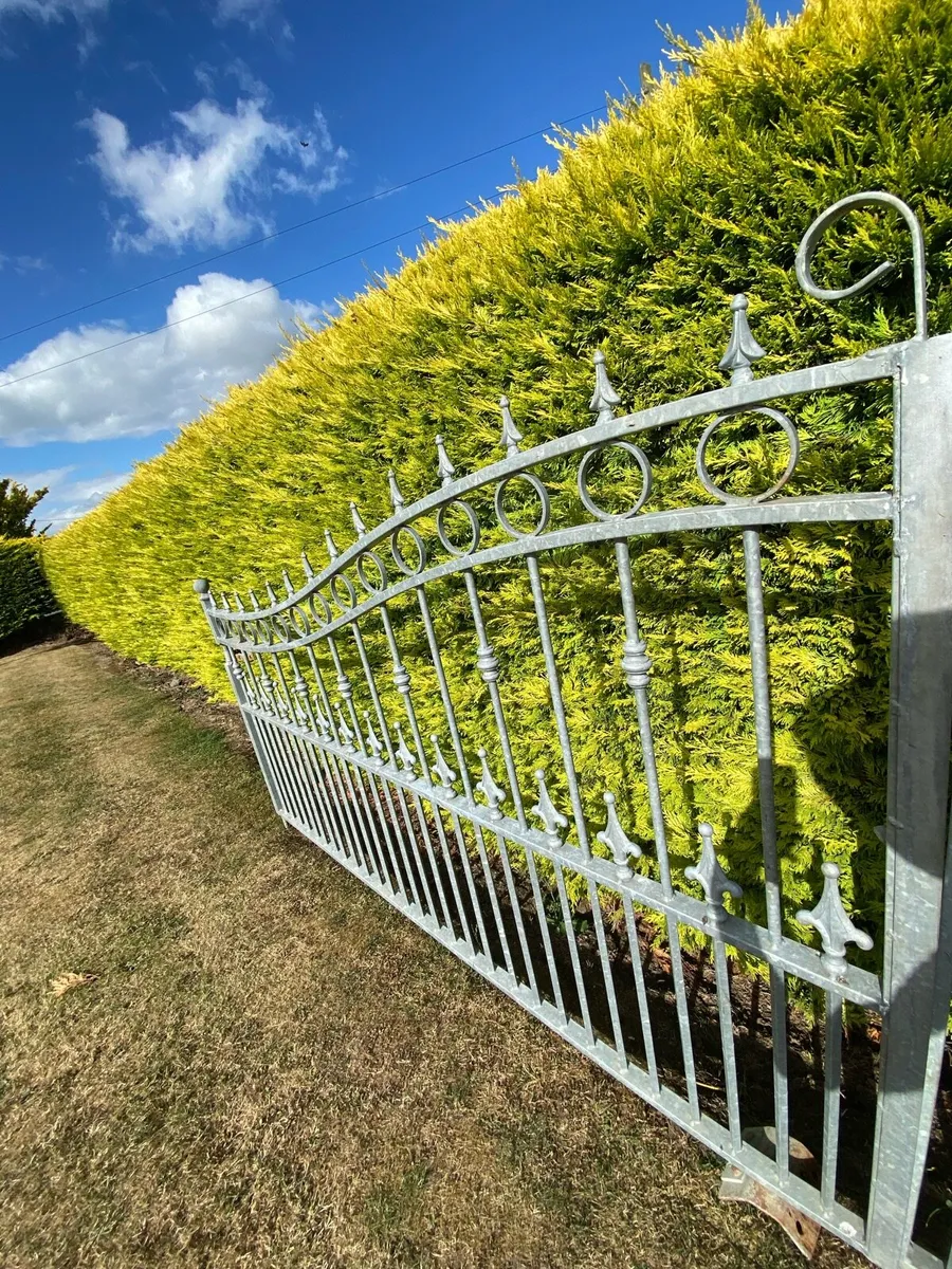 Galvanised Gates 15ft - Image 3