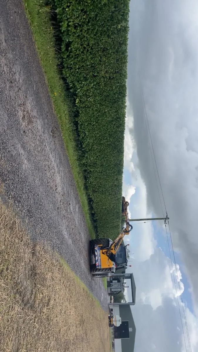 Shelbourne Hedgecutter - Image 4
