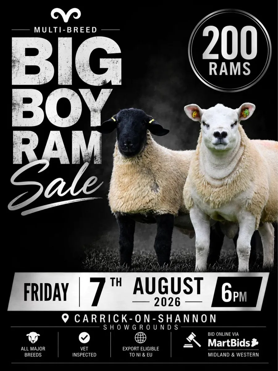 Big Boy Ram Sale Catalogue - Image 1