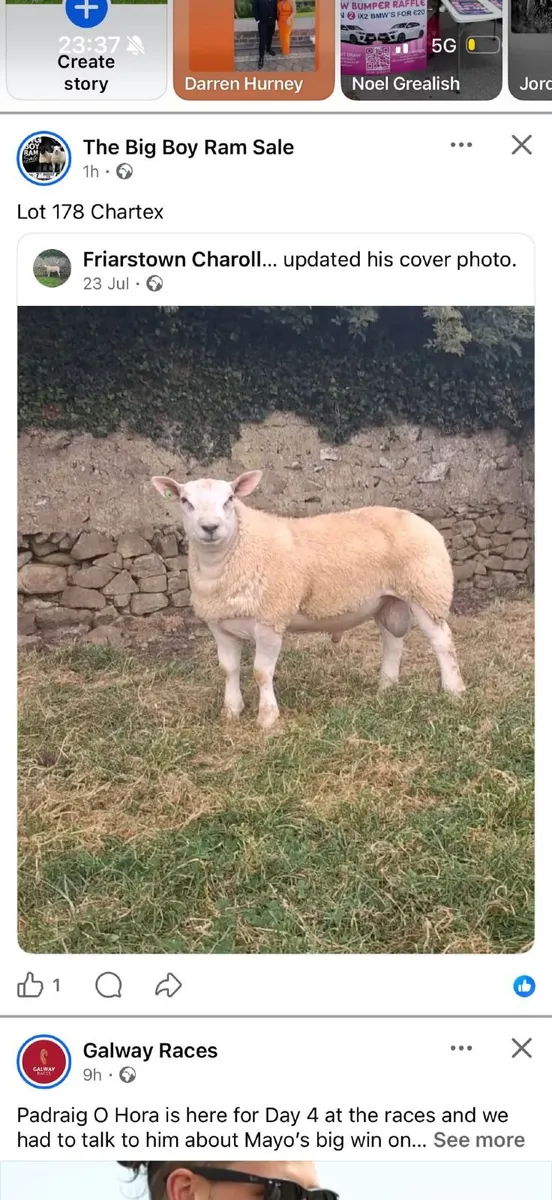 Big Boy Ram Sale Catalogue - Image 2