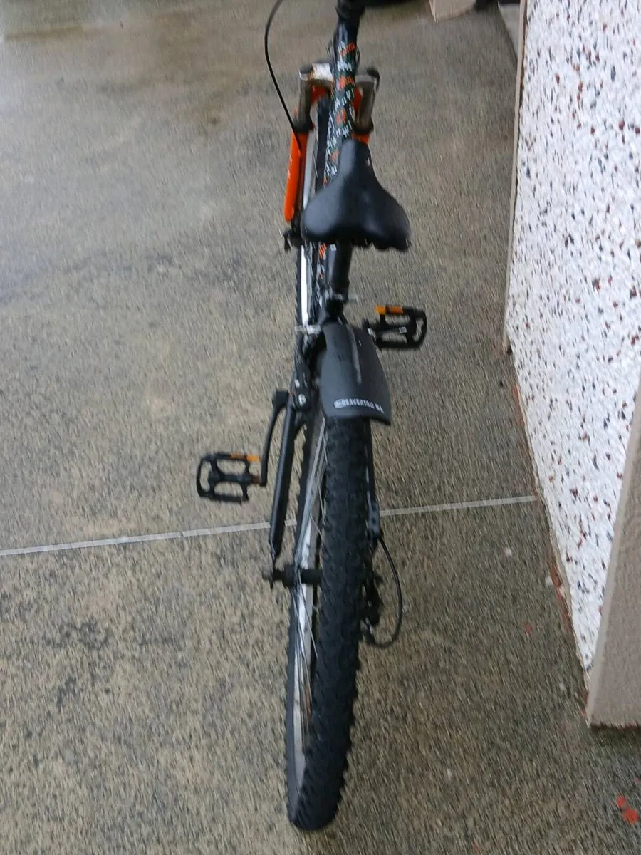Bicycle - Image 2