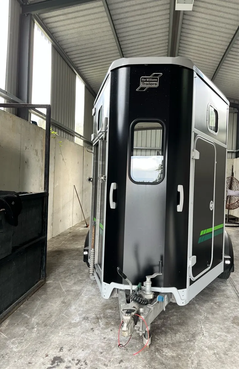 Ifor Williams Horse Box 511 ⭐ Like New - Image 4