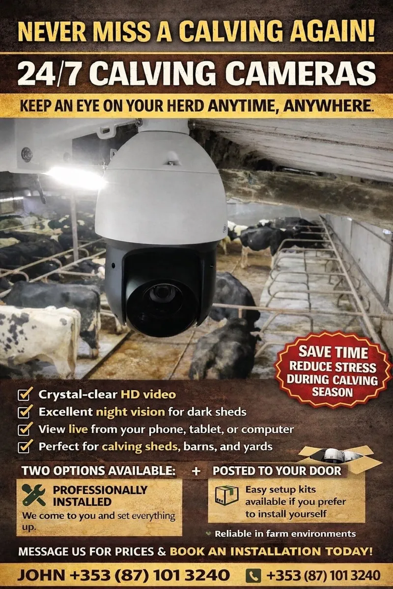 Calving / farm security camera - Image 1