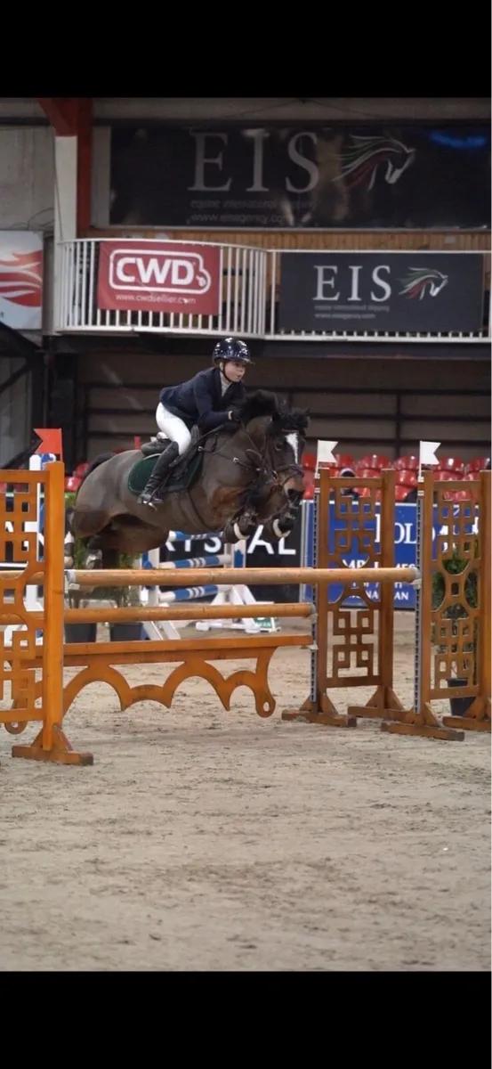 148 pony - Image 1