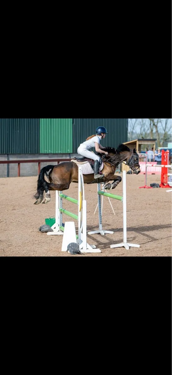 148 pony - Image 3