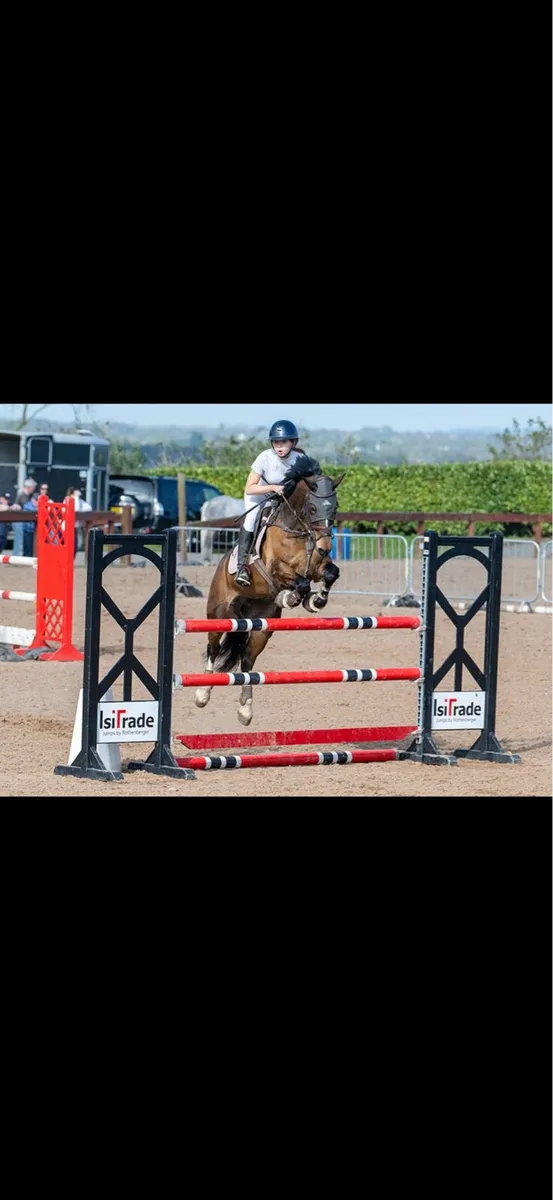 148 pony - Image 4
