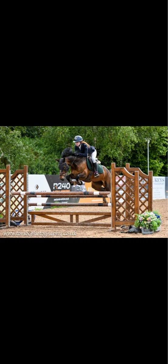 148 pony - Image 2