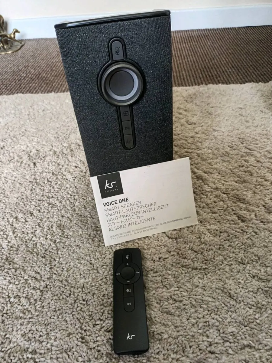 Speaker - Image 1