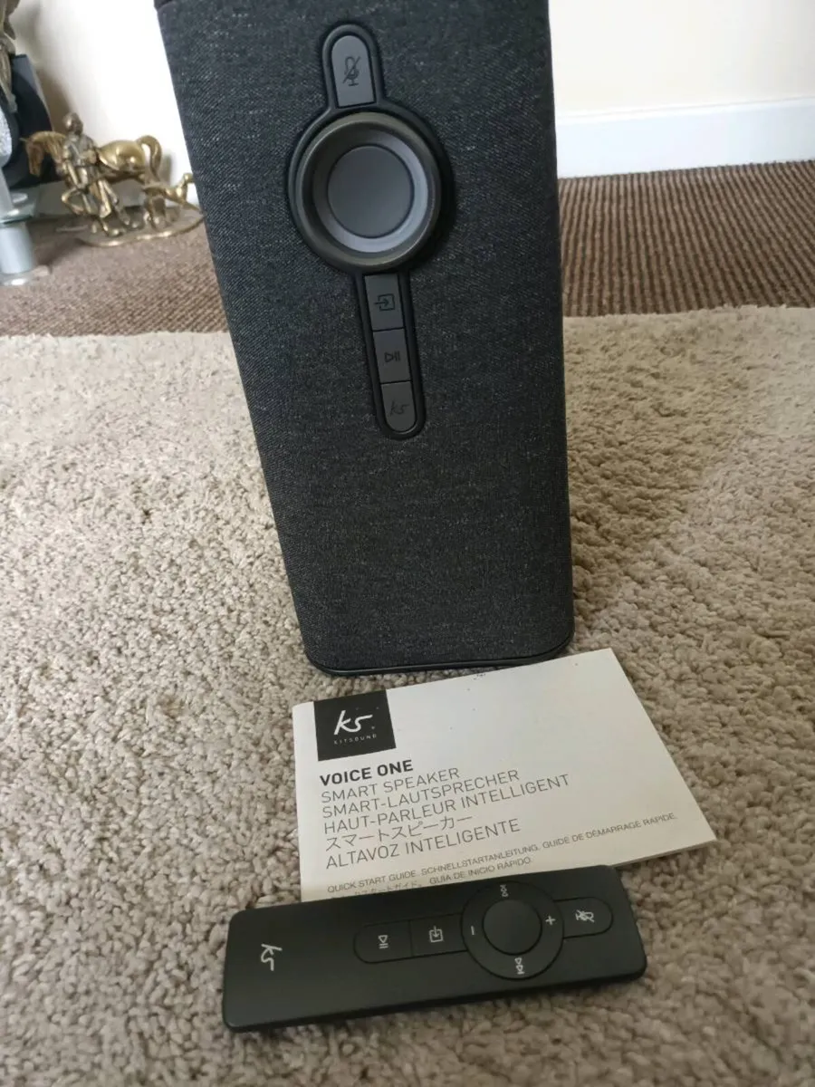 Speaker - Image 2