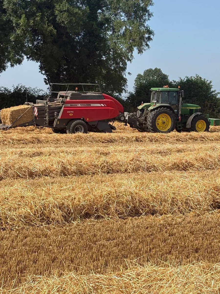 Wheaten straw