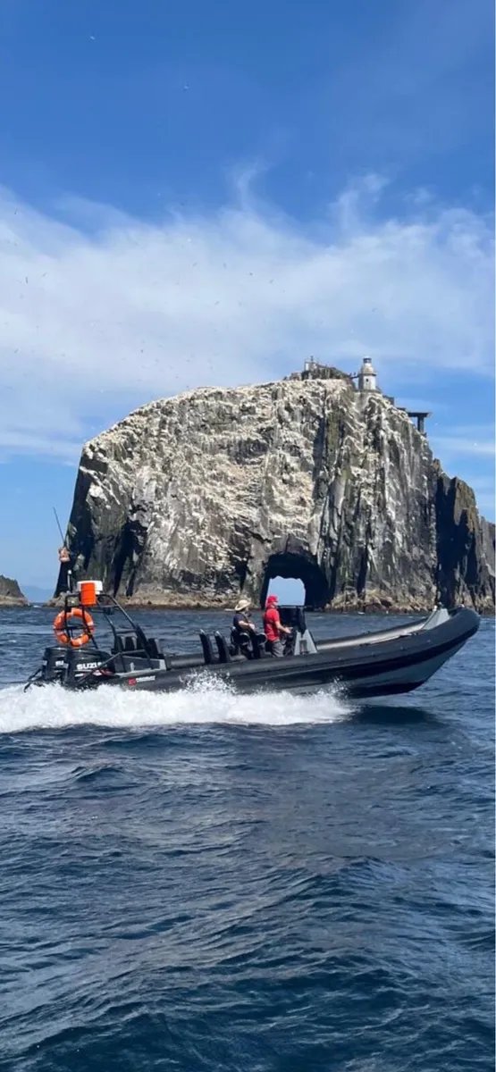Redbay 1050 Twin 300hp Suzuki’s - Image 3