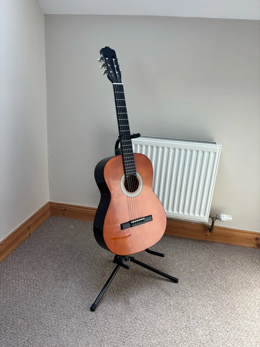 Acoustic guitar with bag,stand and picks - Image 1
