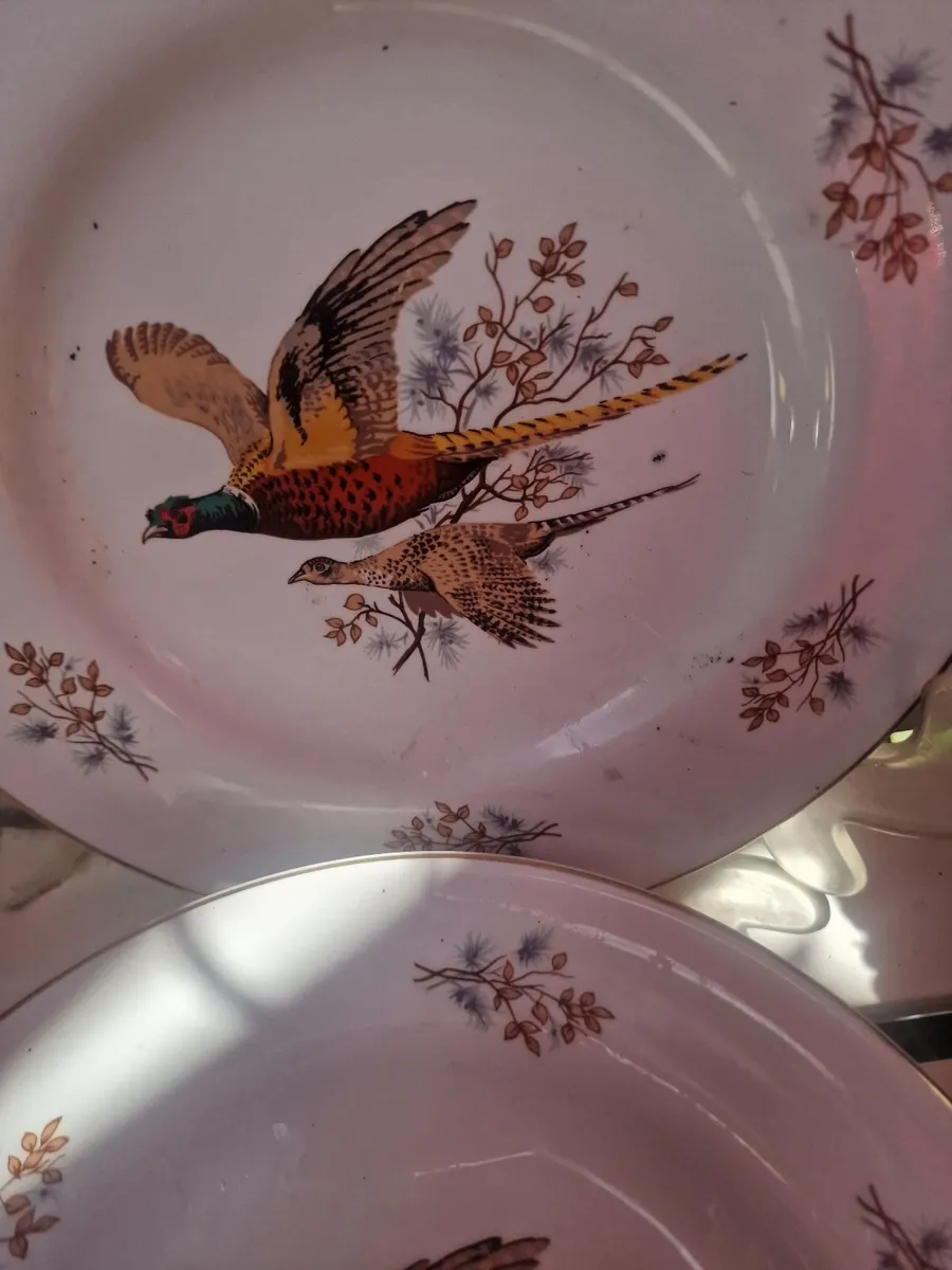 Arklow pottery. - Image 4