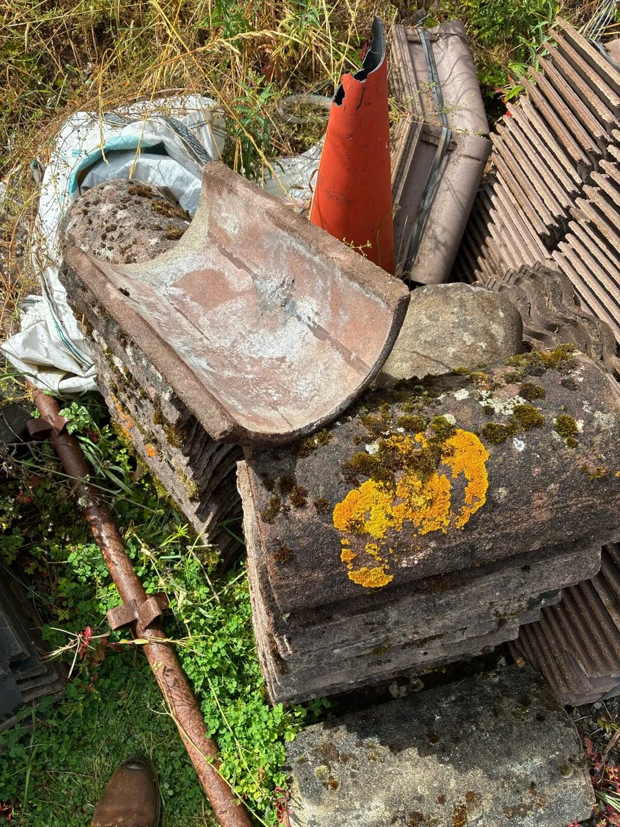 Ridge tiles - Image 2