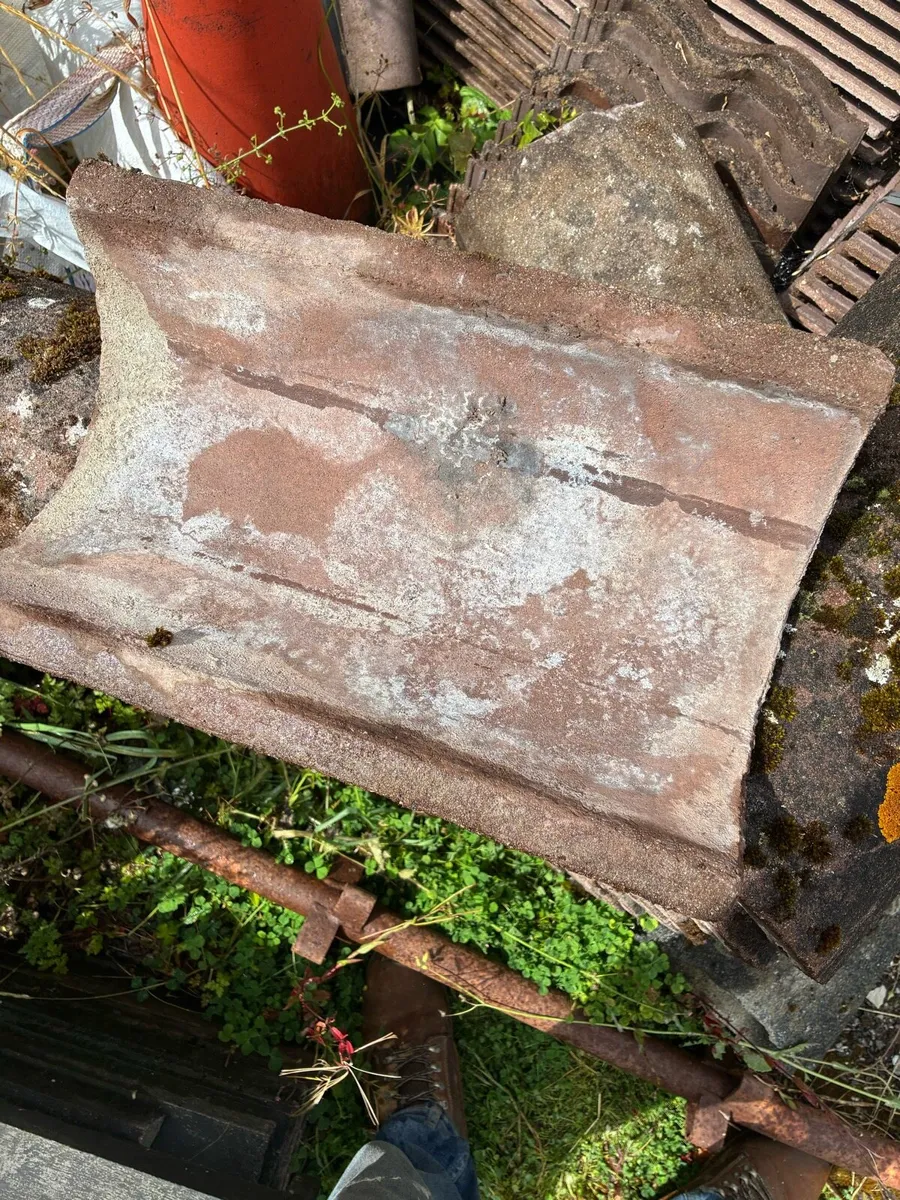 Ridge tiles - Image 3