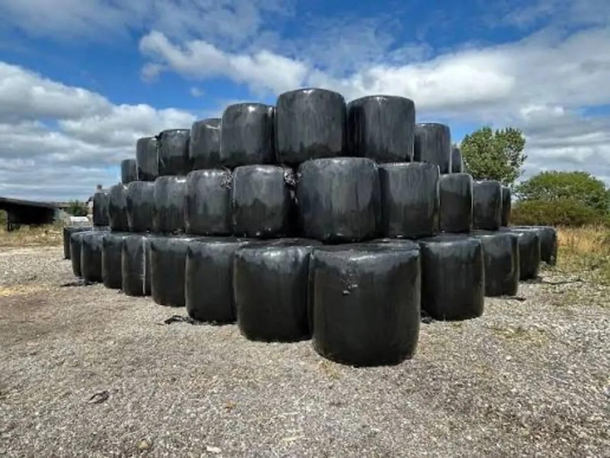 Silage Round Bales - Image 1
