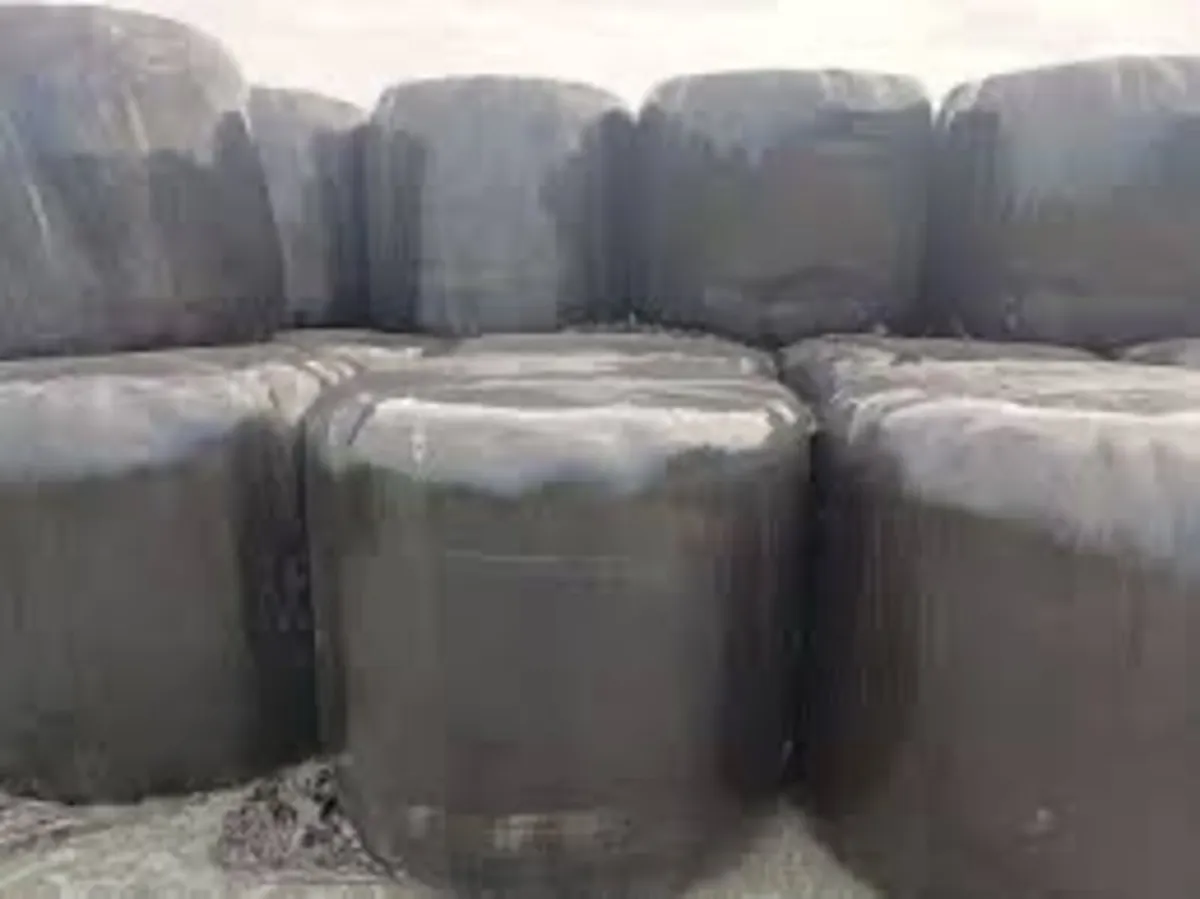 Silage Round Bales - Image 2