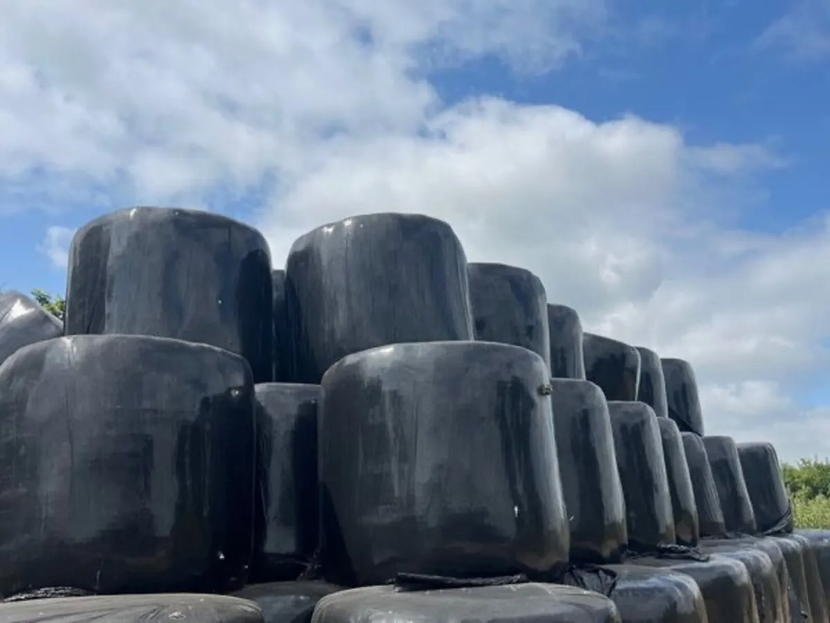 Silage Round Bales - Image 3