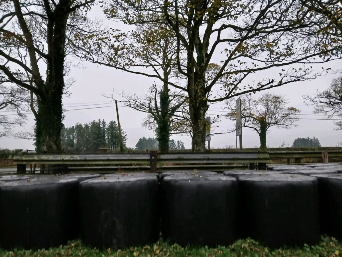 Baled silage - Image 2