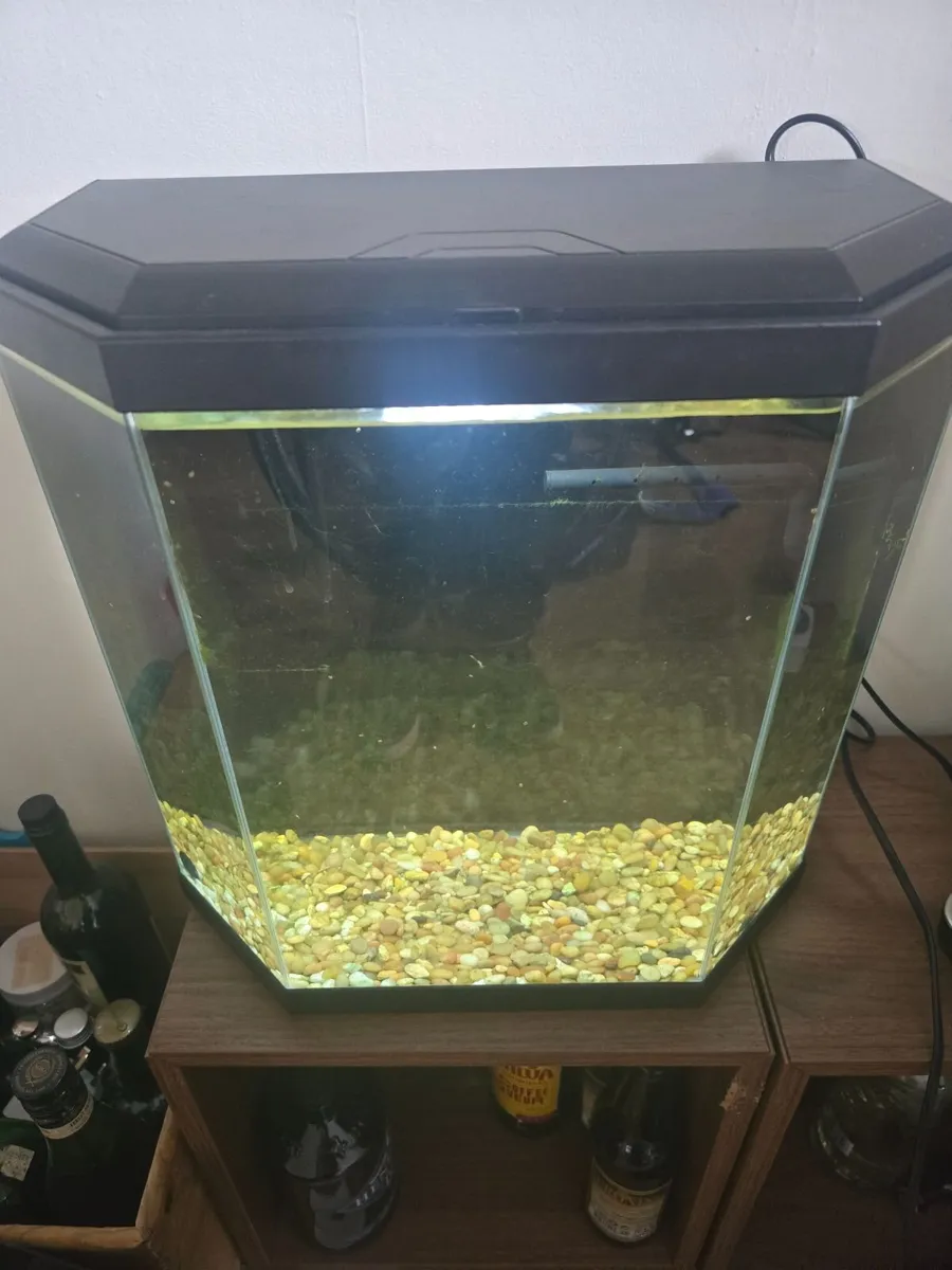 25L fish tank