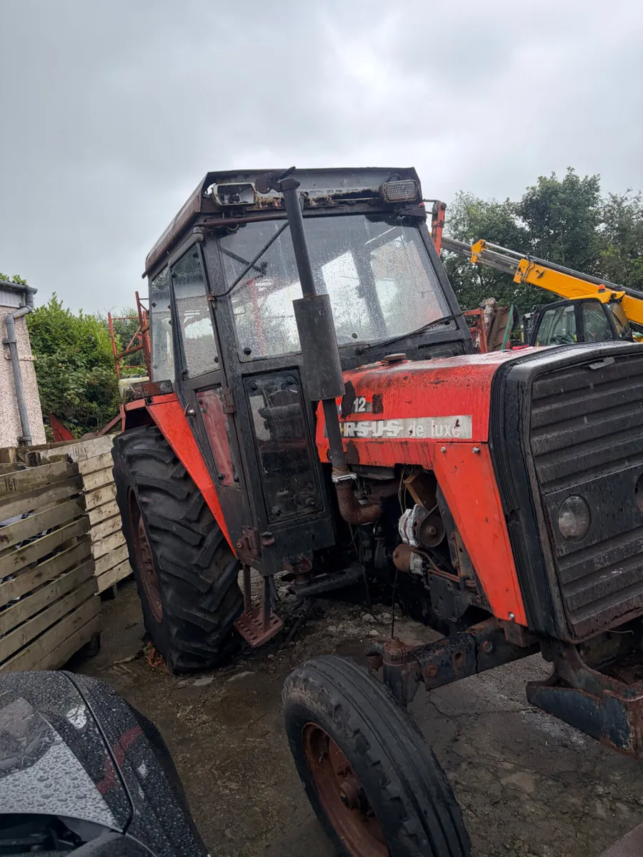 Ursus 4512 Export - Image 1