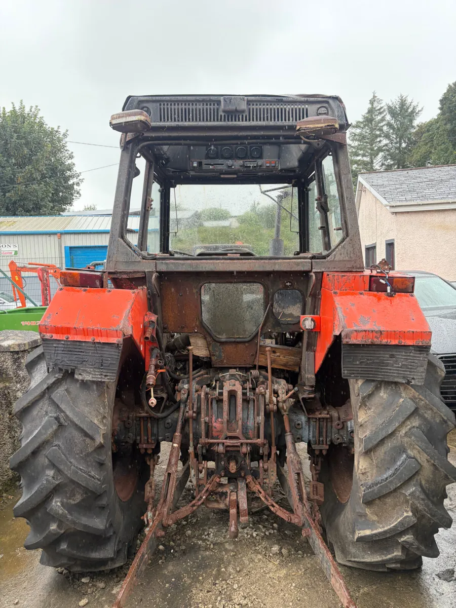 Ursus 4512 Export - Image 3