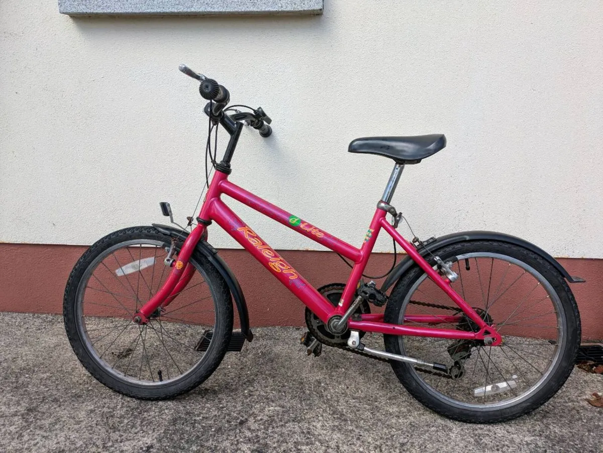 Raleigh D-Lite Girls bicycle for sale - Image 1