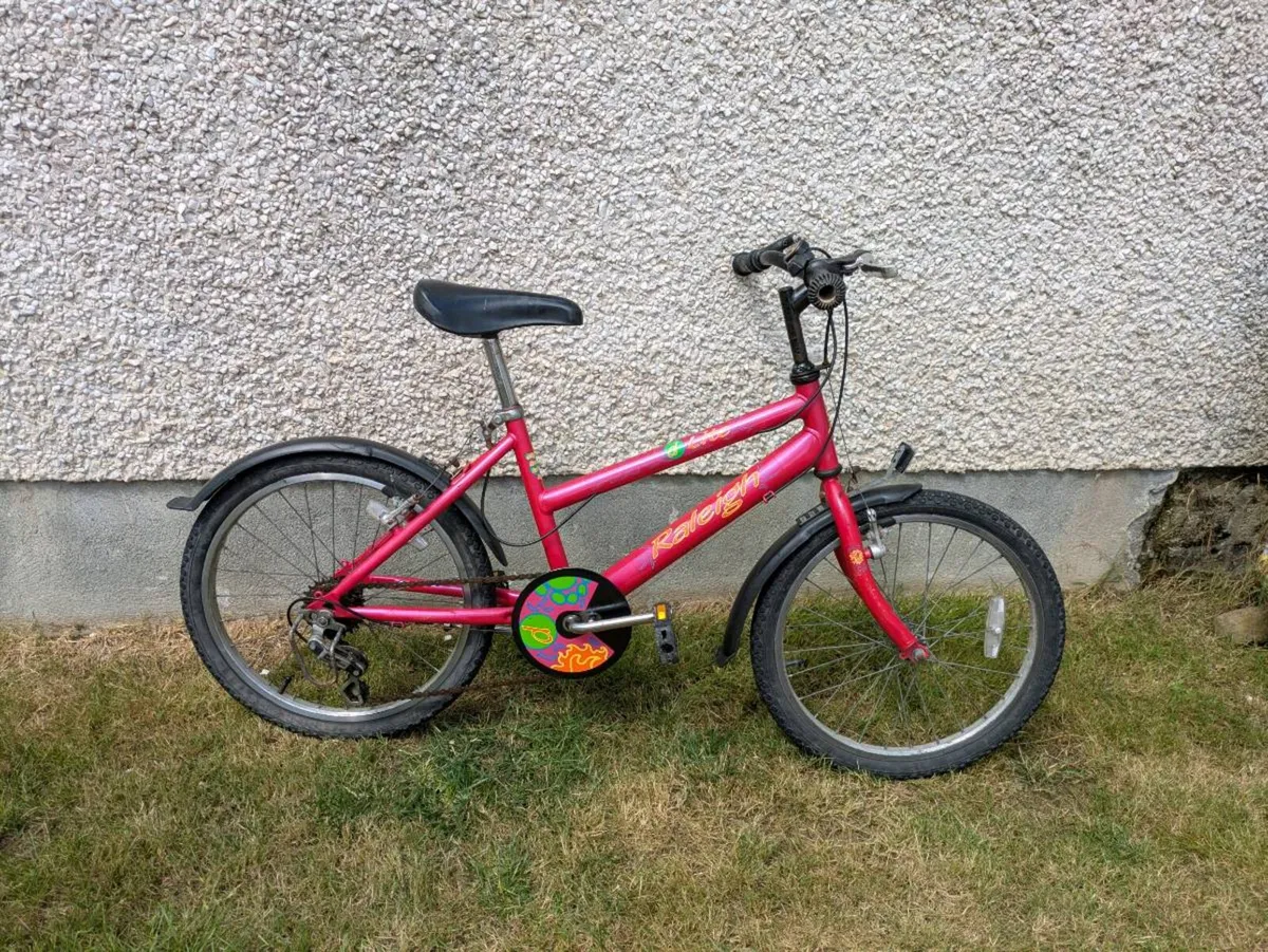 Raleigh D-Lite Girls bicycle for sale - Image 2