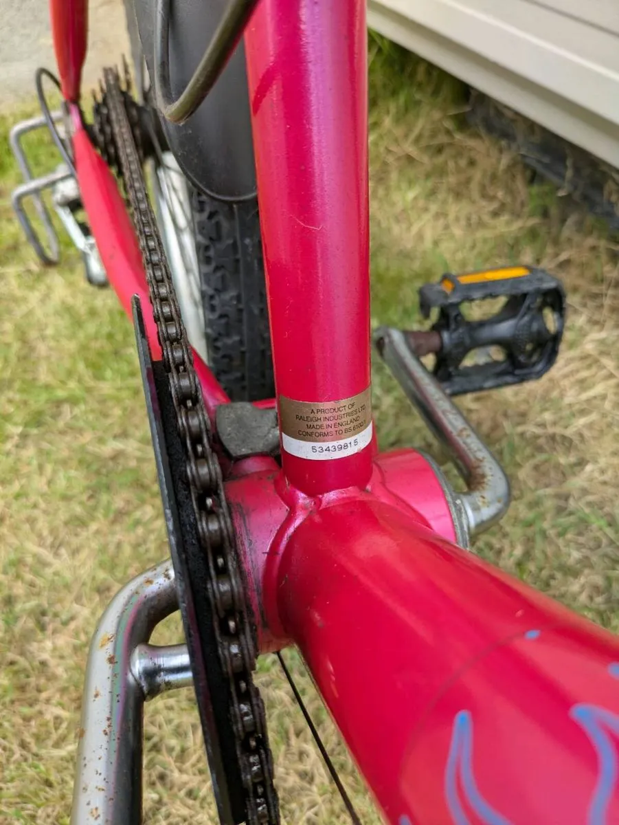 Raleigh D-Lite Girls bicycle for sale - Image 3