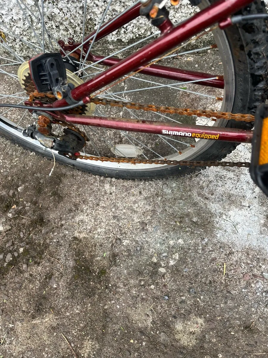 Cipher apollo bicycle - Image 3