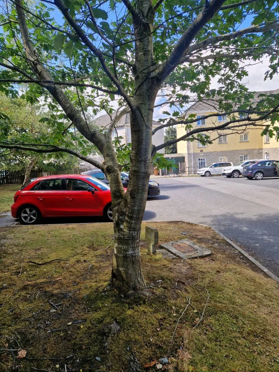 2 Bedroom Apartment Waterford for rent - Image 1