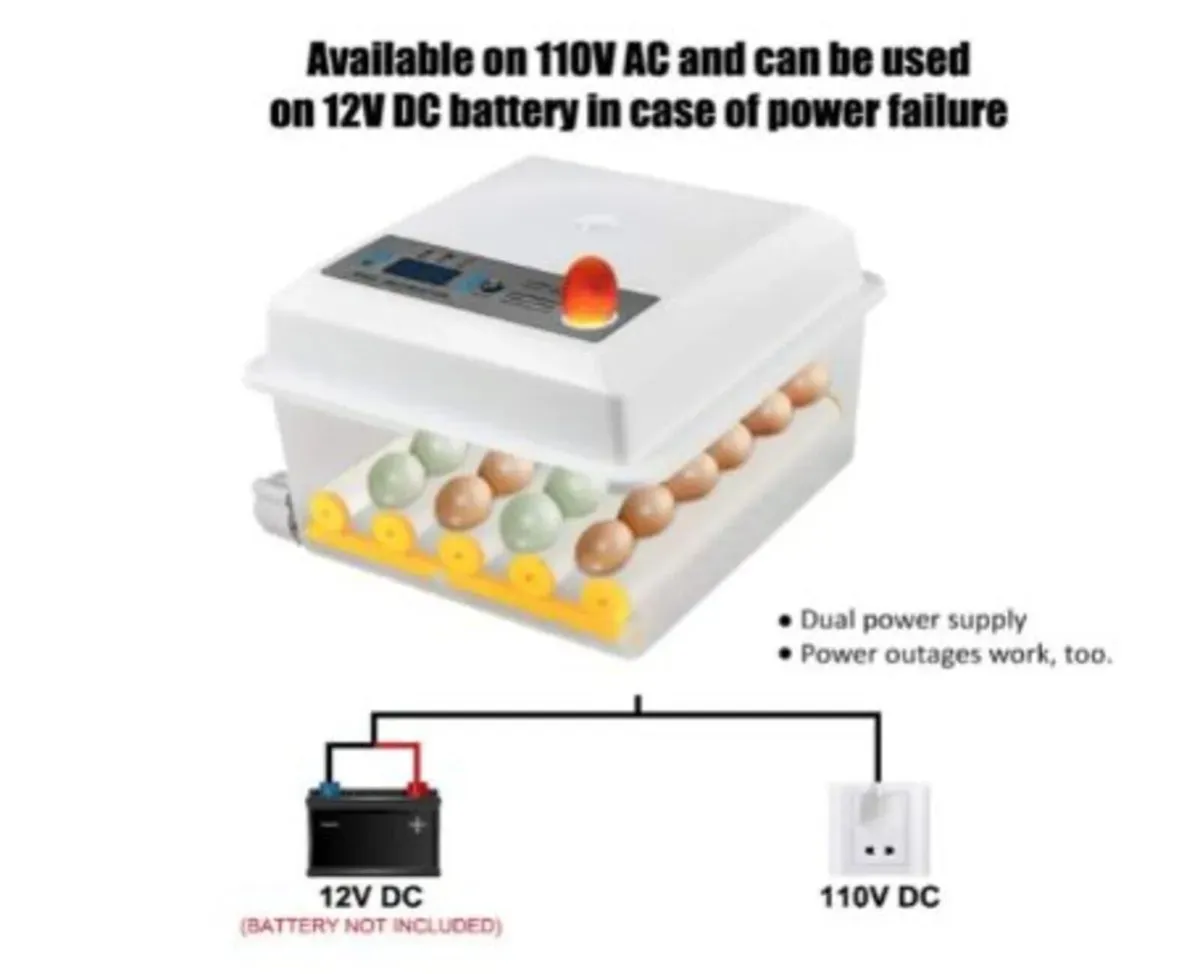 Egg Incubator Automatic 16 Egg Temperature Control - Image 3
