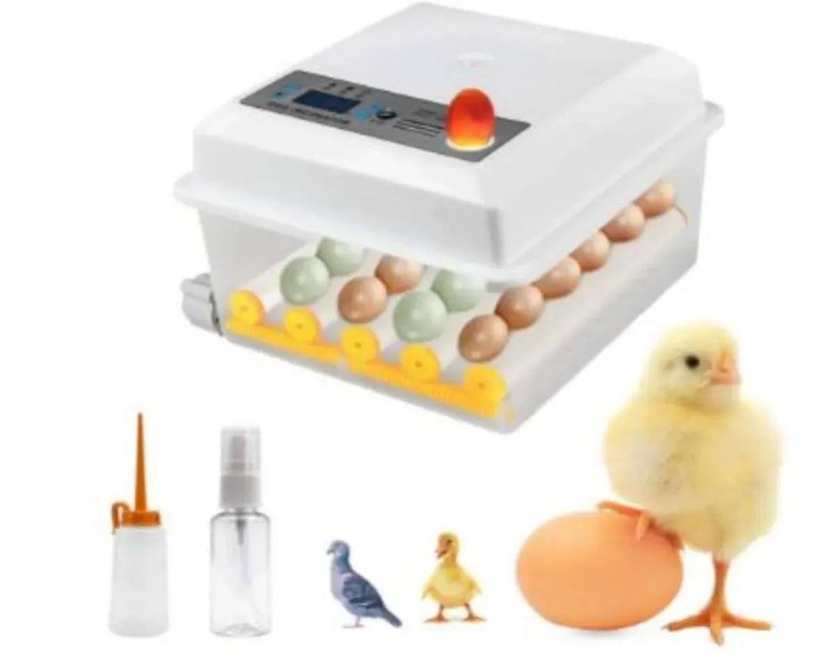 Egg Incubator Automatic 16 Egg Temperature Control - Image 2