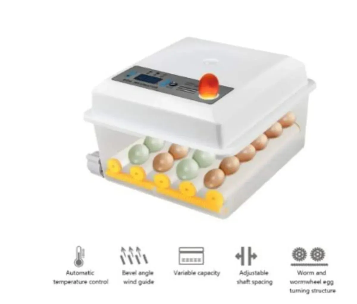 Egg Incubator Automatic 16 Egg Temperature Control - Image 4