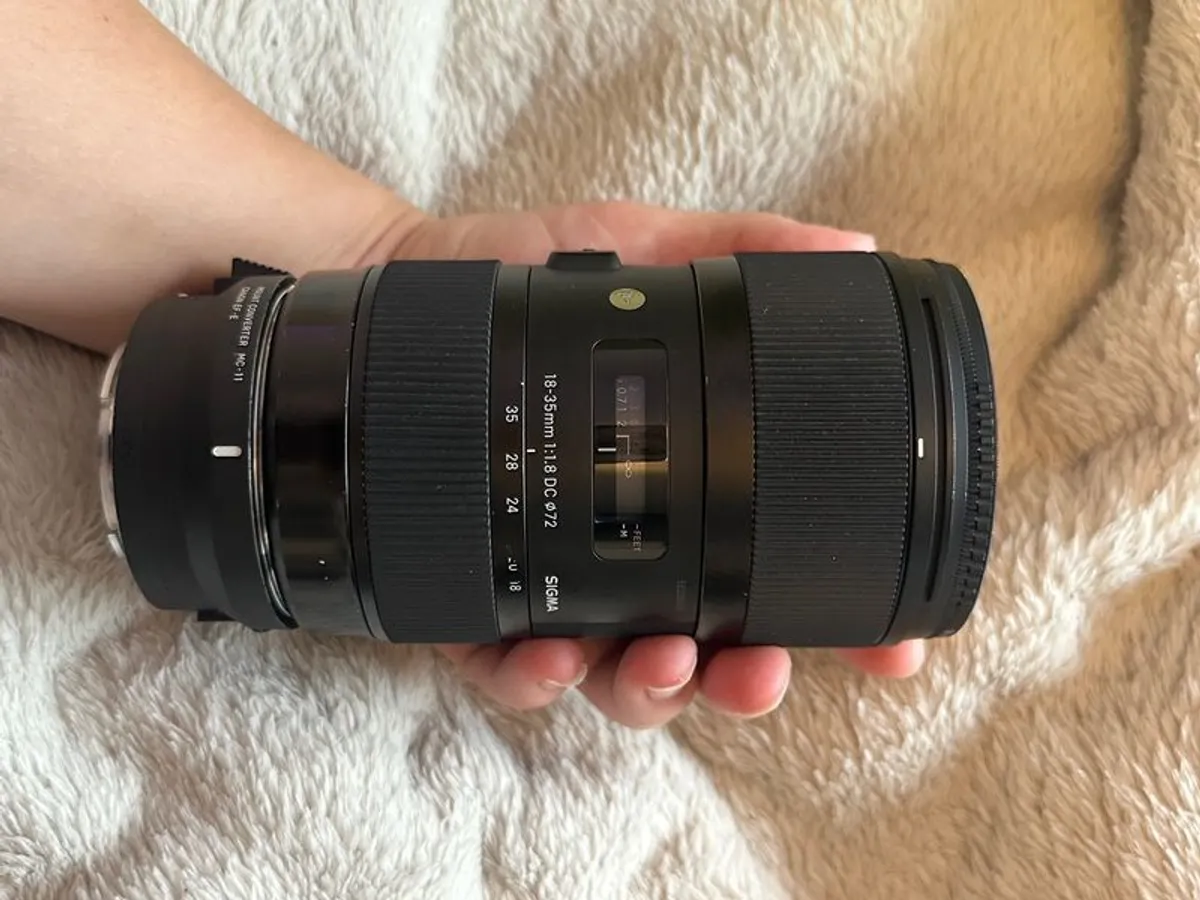 Sony A6000 + sigma 18-35mm F1.8 with Sony FE converter( original fitting on Nikon) small rig case included +batteries - Image 4