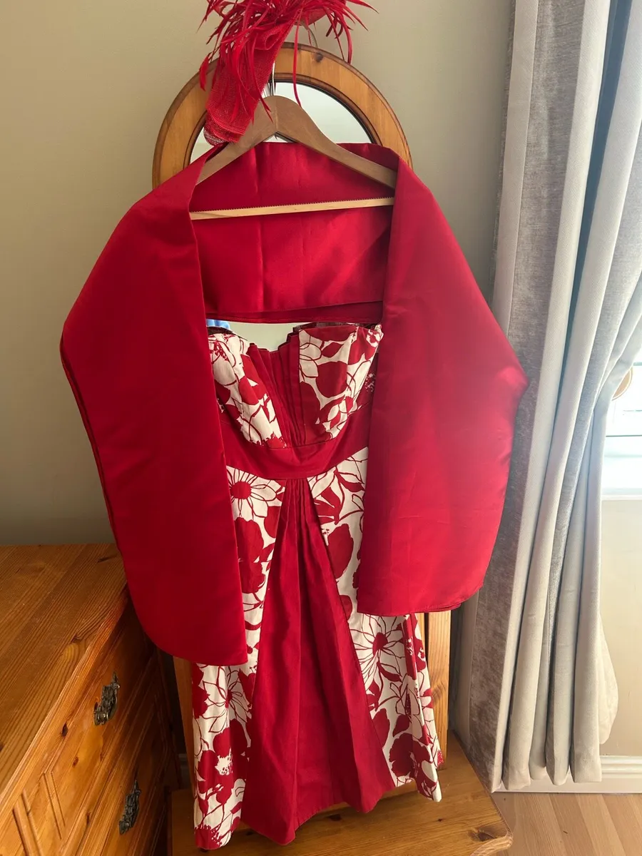 Ladies occasional dress with shawl. - Image 3