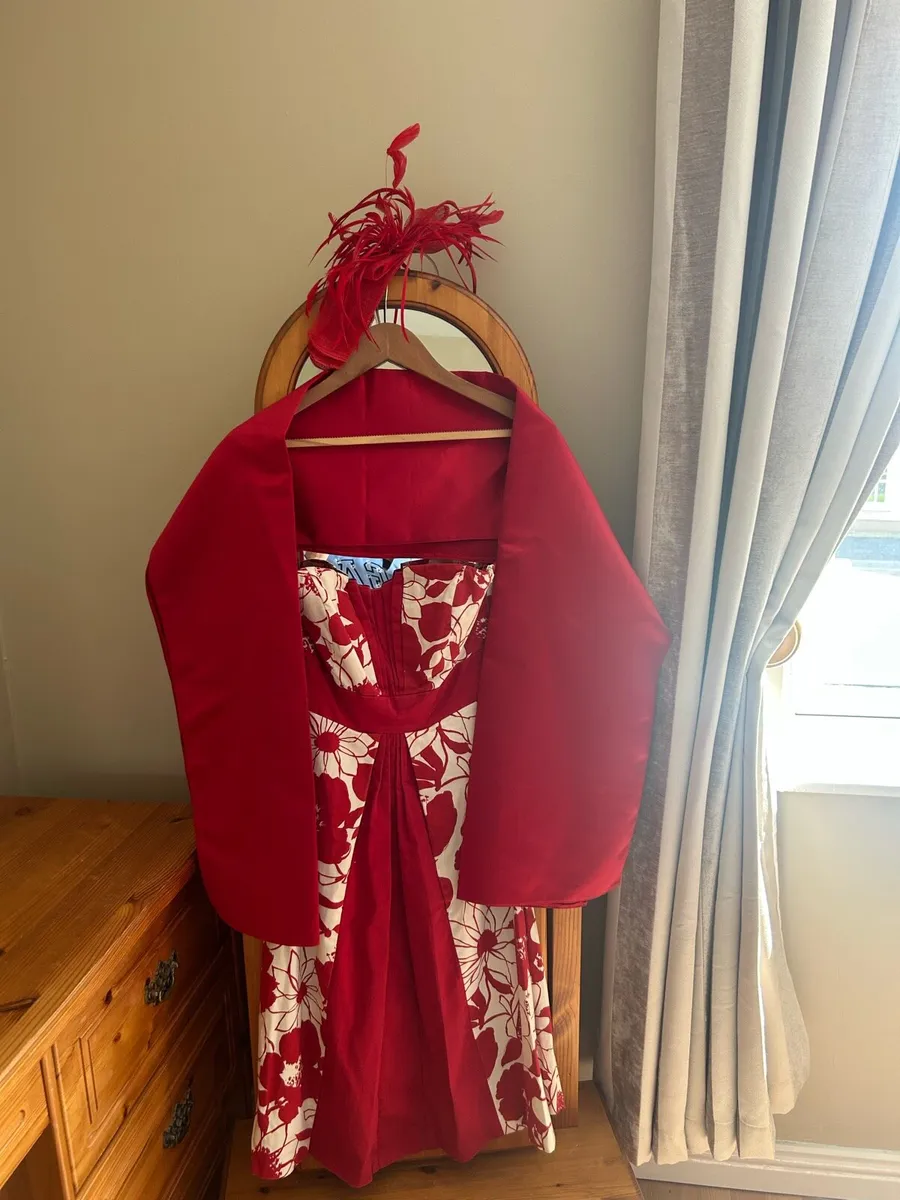 Ladies occasional dress with shawl. - Image 1