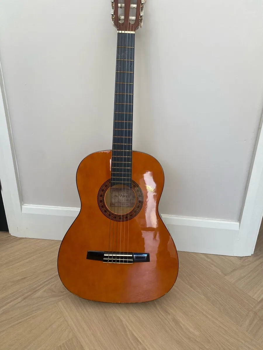 Beginner Guitar - Image 1