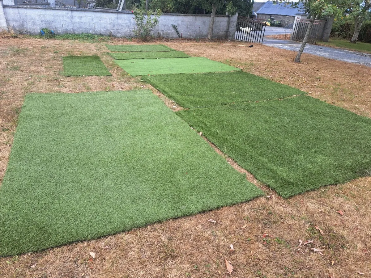 Astro turf/Golf putting green - Image 1